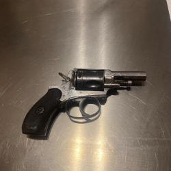 Tr&egrave;s rare bulldog 8/92