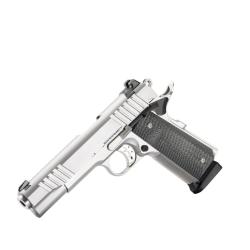 BUL 1911 GOVERNMENT 45ACP SILVER