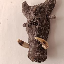 Campement de chasse au S&eacute;n&eacute;gal Koar bala safari