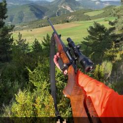 Sauer 404 ergolift gaucher