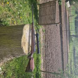 carabine Mauser 66 calibre 7x64 avec lunette de vis&eacute;e