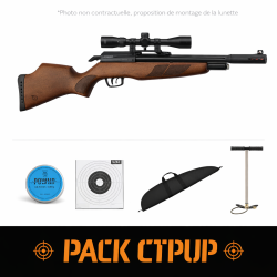 Carabine &agrave; plomb PCP Gamo RISER Punisher 40 J - Cal. 5.5 - Pack CTPUP