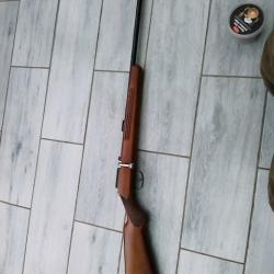 carabine 410mag  gaucher