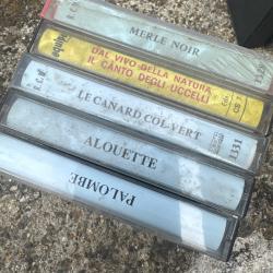 Cassette(lot 1)