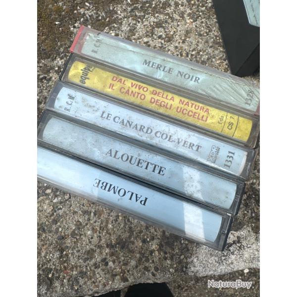 Cassette(lot 1)