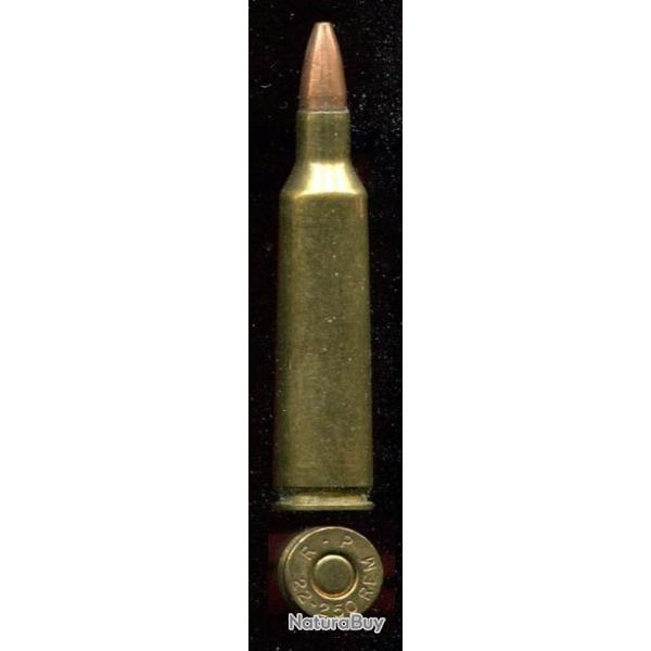 .22-250 remington- R-P
