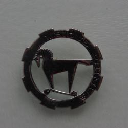 INSIGNE GUERRE D'ALGERIE  : 1 &deg; REGIMENT CHASSEUR D'AFRIQUE  ---- DRAGO  PARIS G.1100 -----
