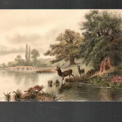 cerf au bord d'un &eacute;tang , cpa peinture animali&egrave;re germanique
