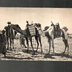 au sahara (m&eacute;haristes) , troupes coloniales indig&egrave;nes