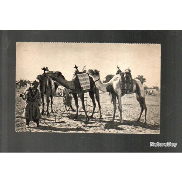 au sahara (m�haristes) , troupes coloniales indig�nes