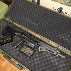 HK417 HPA + 2 chargeurs + valise de transport