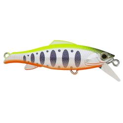 Poisson nageur VALKEIN Raxma 55 S C231 Chart yamame OB