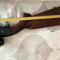 Carabine semi-auto Impact verney CARRON