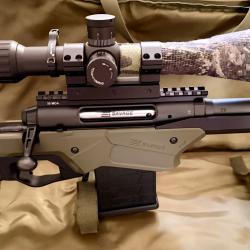 SAVAGE AXIS II PR&Eacute;CISION 308 w