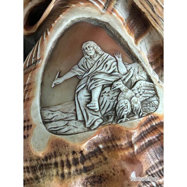 Coquillage Sculpt�