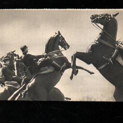 les &eacute;cuyers du cadre noir  cpa