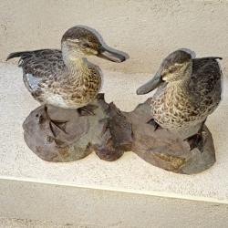 Canard empaill&eacute;.