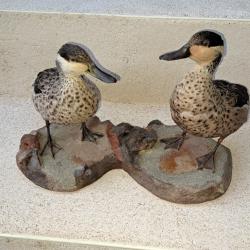 Canard empaill&eacute; double sur support.