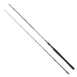 CANNE CASTING EXCELER 742 XHFB 2M24 14/56GR - DAIWA