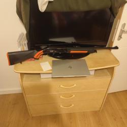 Vend carabine lin&eacute;aire artech prima 30.06