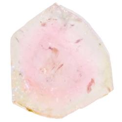 Tranche de tourmaline melon d'eau polie - R&eacute;f 6598.2