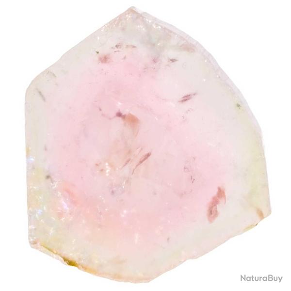 Tranche de tourmaline melon d'eau polie - R�f 6598.2
