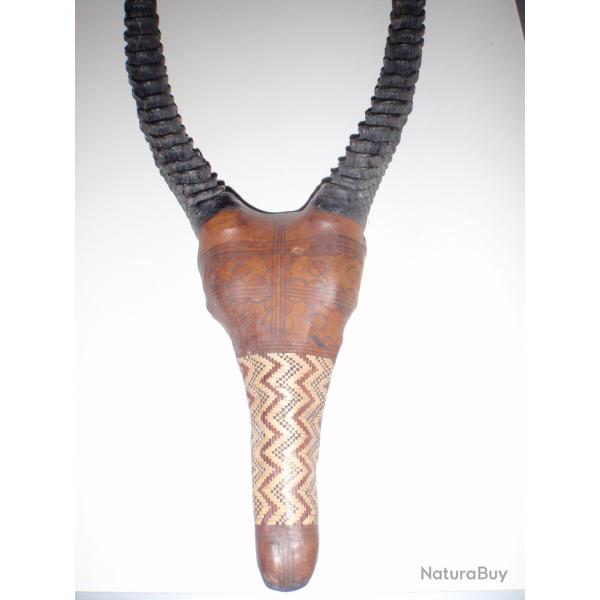 Troph�e ethnique gazelle