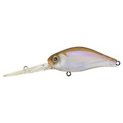 B.SWITCHER 3-0 NO RATTLE - 817 KANTO REAL WAKASAGI