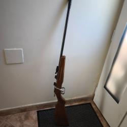 22 long rifle