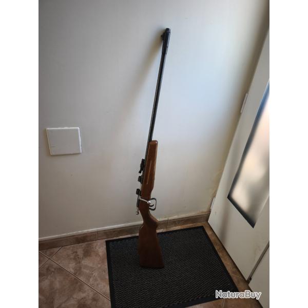 22 long rifle