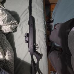 Carabine hatsan 19,9 joules 6.35 mm + plombs offerts.