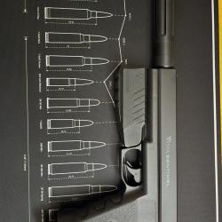 Pistolet Vesta Sentinel + extension de canon + flashloader + munitions