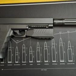 Pistolet Vesta Sentinel + extension de canon + flashloader + munitions