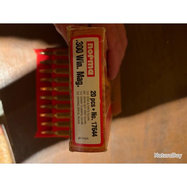 Bo�te de balle norma 300 win mag