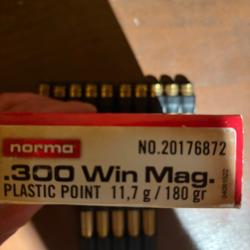 15 balles  norma 300 win mag