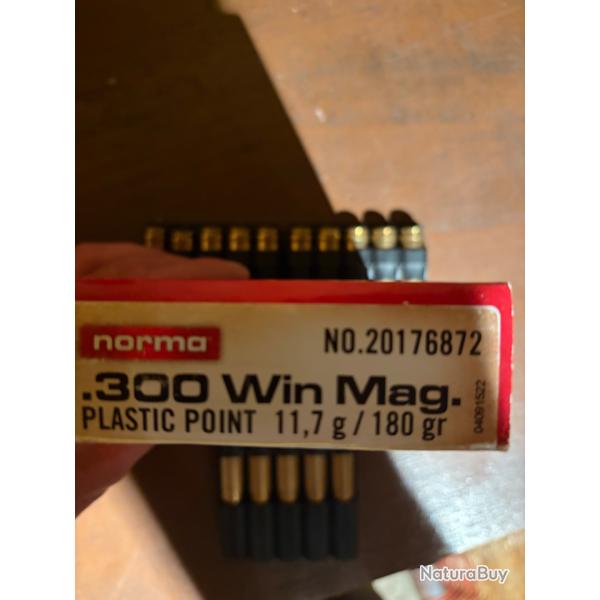 15 balles  norma 300 win mag