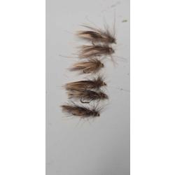 SEDGES . Ailes : cane et b&eacute;casse