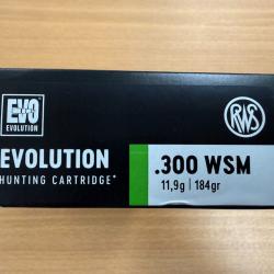 VENTE FLASH RWS CAL 300 WSM EVO 11.9G VENDU PAR 2 BTES FRAIS DE PORT OFFERT