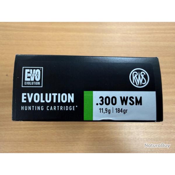 VENTE FLASH RWS CAL 300 WSM EVO 11.9G VENDU PAR 2 BTES FRAIS DE PORT OFFERT