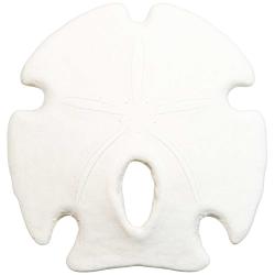 Test d'oursin encope californicus - 7 &agrave; 9 cm - A l'unit&eacute;