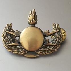 INSIGNE Echelon Central NEDEX, Brevet I.E.E.I. Intervention sur Engins Explosifs Improvis&eacute;s