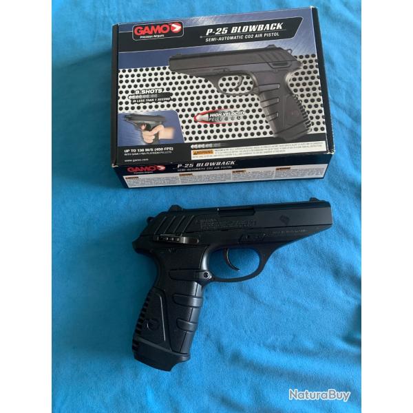 GAMO P-25 Blowback co2 4,5