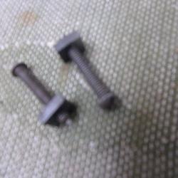2 vis  de boitier  de  Remington 66 Nylon