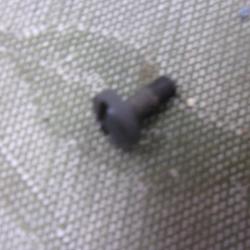 vis crosse/boitier  d'une  Remington 66 Nylon