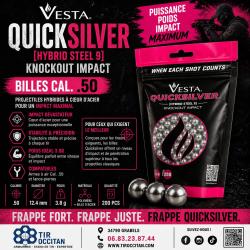 Billes VESTA Quicksilver calibre .50 - x200 projectiles hybrides coeur acier