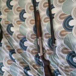 Benelli Rinascimento 2 canons