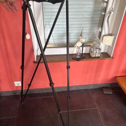 Canne de pirsch rogpog