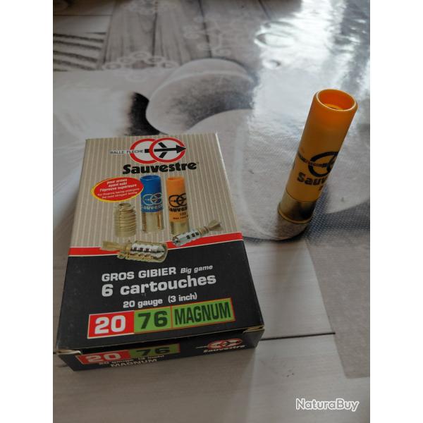 Balle fleche Sauvestre-Cal 20/ magnum