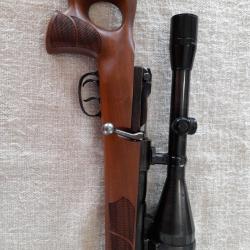 Mauser 66   cal  308 winchester