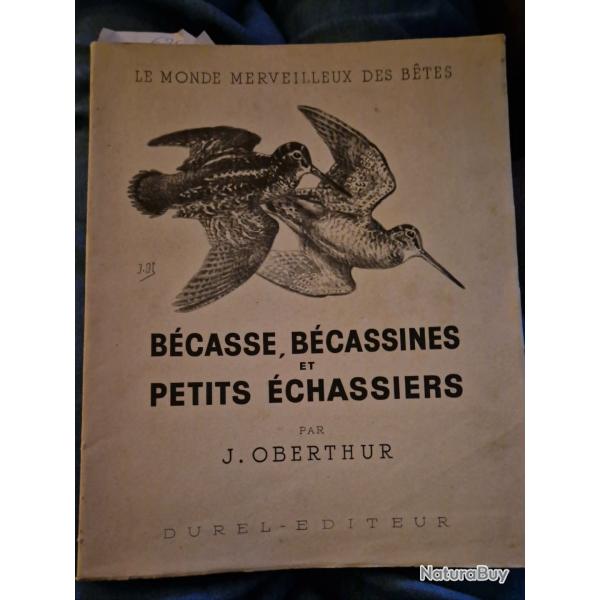 j.oberthur-becasses et becassines et petits echassiers